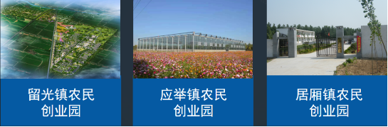 全力助推河南新鄉封丘縣委托招商引資，立足特色產業，打造魅力封丘