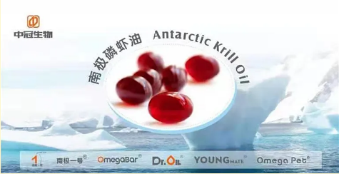 集團全力助推吉林琿春邊境經濟合作區委托招商引資，聚力打造百億級特色產業集群