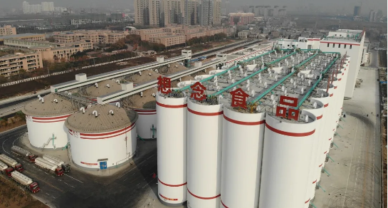 集團助力河南省南陽市鎮平縣委托招商引資，推動縣域經濟大轉型