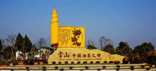 政府委托招商合作丨全力助推浙江衢州常山縣傳統產業加快升級，新興產業異軍突起