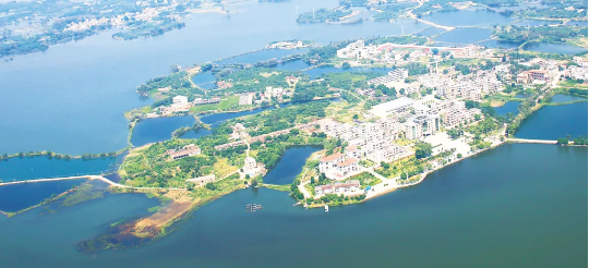 集團全力助推廣東湛江廉江市委托招商引資，圍繞優勢產業補鏈、強鏈、延鏈