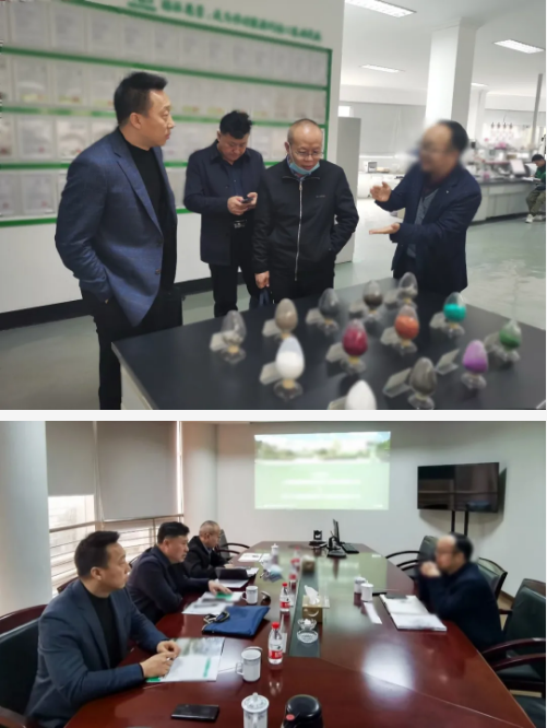精準契合，提升實效！集團成功助推3家優質投資選址企業對接地方政府