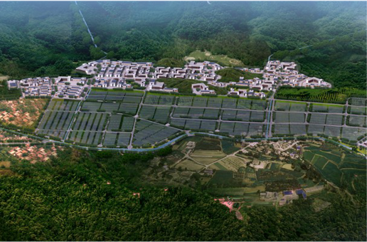 集團全力助推福建寧德周寧縣委托招商引資，強化特色產業實力，為全縣高質量發展增添新動力