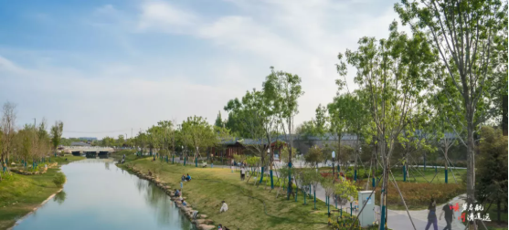 集團全力助推河南開封順河回族區委托招商引資，突出特色優勢，強化精準賦能，提升經濟活力