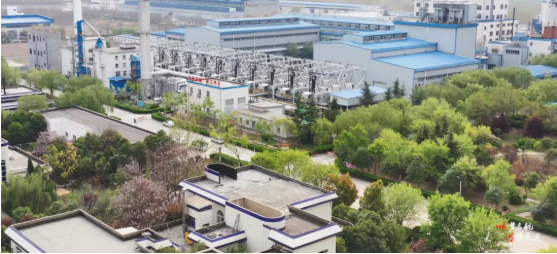 集團全力助推河南開封順河回族區委托招商引資，突出特色優勢，強化精準賦能，提升經濟活力