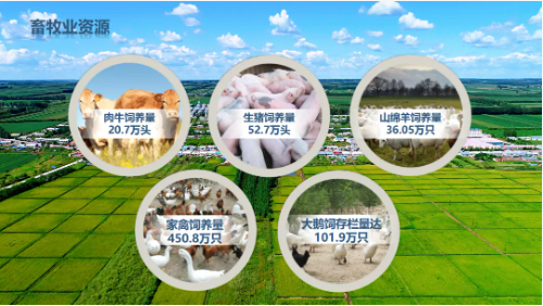 集團全力助推黑龍江齊齊哈爾拜泉縣委托招商引資，立足資源優勢，開辟產業集群高質量發展新高地