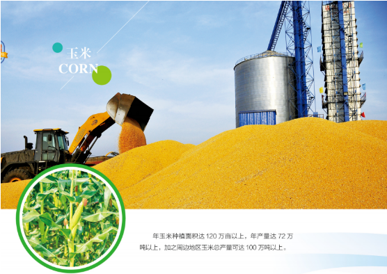 集團全力助推黑龍江嫩江市委托招商引資，以6大優勢助推地方產業高質量發展