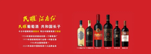 集團全力助推河南商丘民權縣委托招商引資，奮力打造民權特色產業發展高地