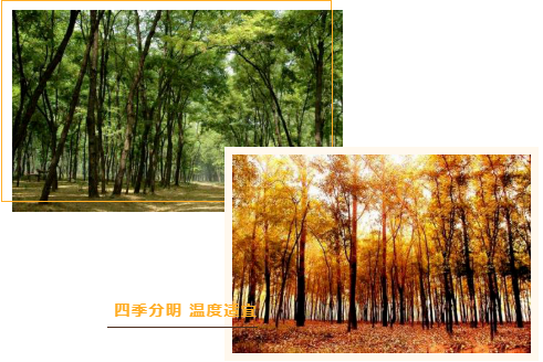 集團全力助推河南商丘民權縣委托招商引資，奮力打造民權特色產業發展高地