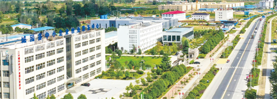 集團全力助推陜西省城固縣委托招商引資，打造百億級產業集群