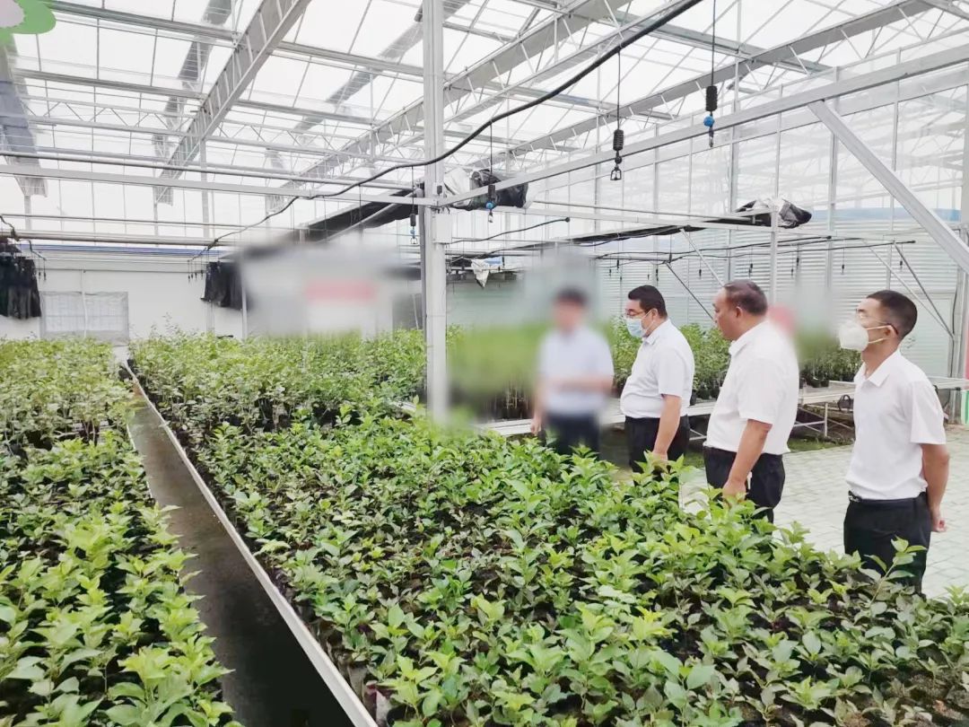 創新農業科技，培育發展動能！甘肅某地方政府考察智慧農業基地投資選址項目