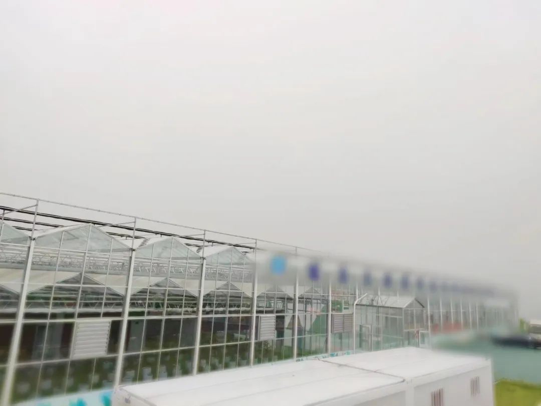 創新農業科技，培育發展動能！甘肅某地方政府考察智慧農業基地投資選址項目