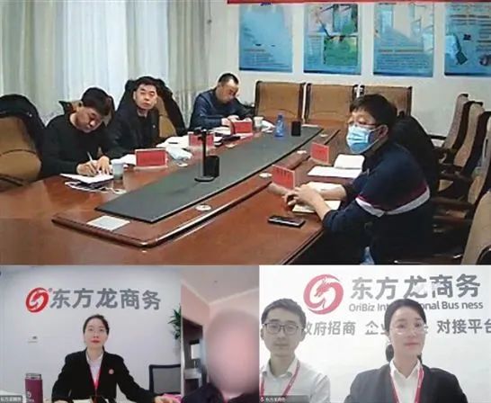 專精特新，設備領先！內蒙古某地方政府成功對接牧草飼料加工投資選址項目