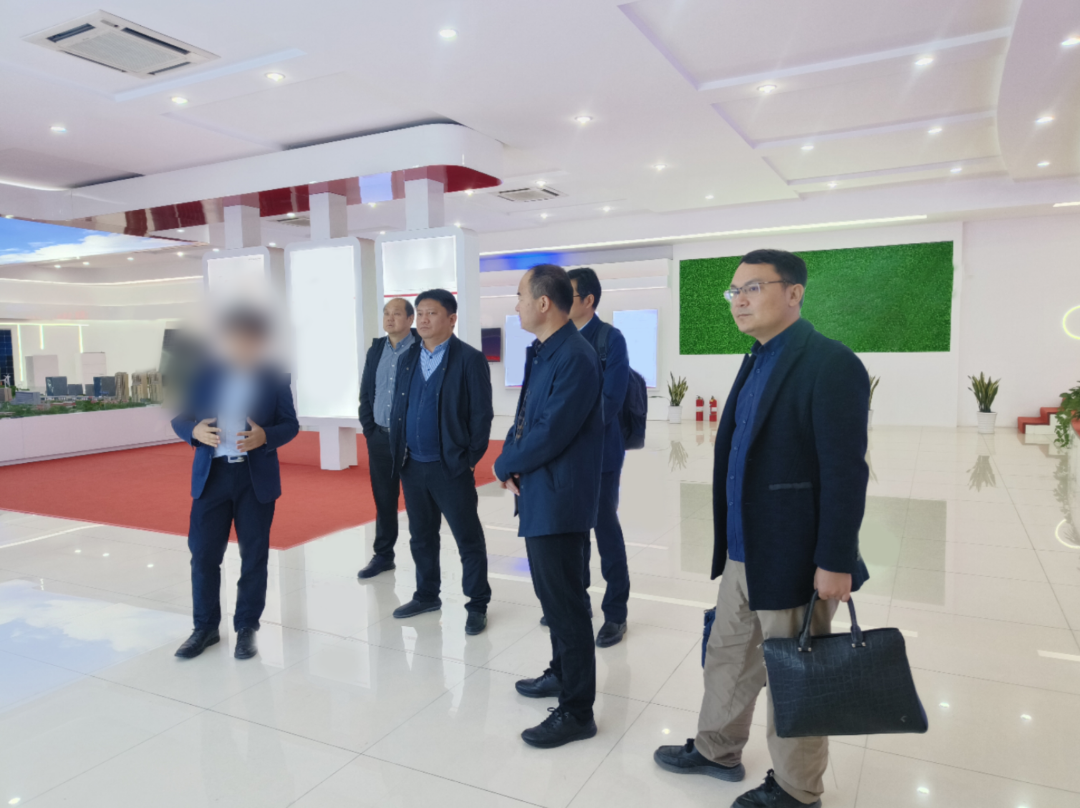 投資10億，產值20億！安徽某地方政府實地對接行業領先儲能投資選址項目