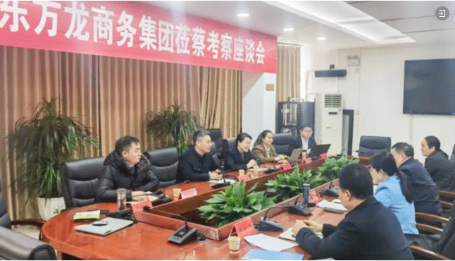上海東方龍商務集團舉行產業鏈招商圖譜業務培訓會，2025年招商創新再啟航！
